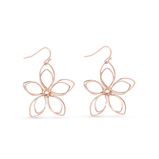 Earrings - EW057P
