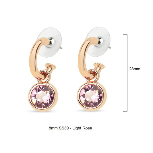 Earrings - EW199C