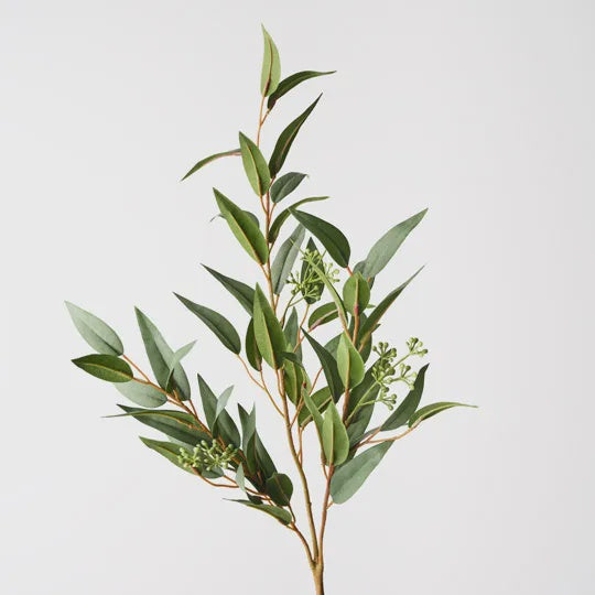 Willow Seed Spray Green