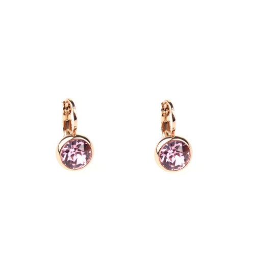 Earrings - E01353R