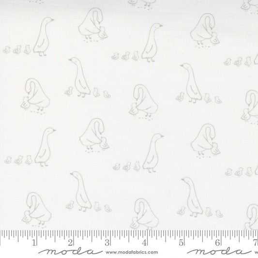 Little Ducklings - M2510311