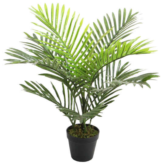 Mini Palm 9 Leaf Green 60cm