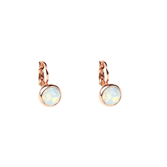 Earrings - E01353WO