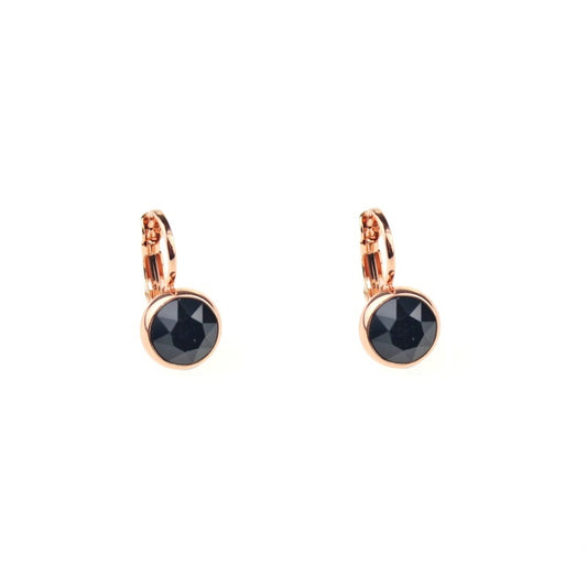 Earrings - E01353J