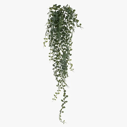 Fern Button Hanging Bush 94cm