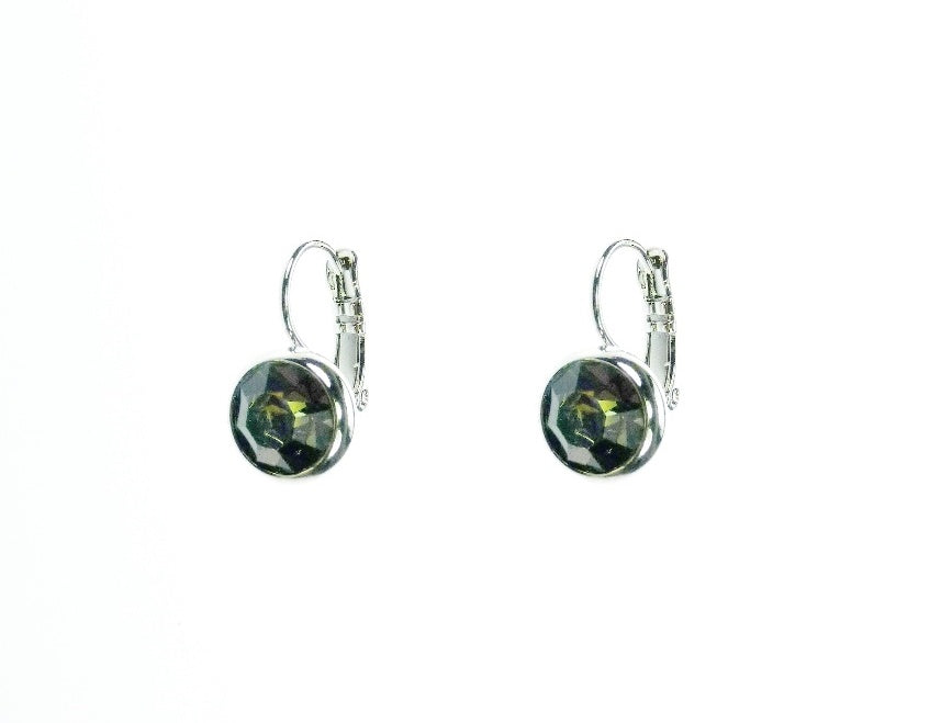 Earrings E01306BD