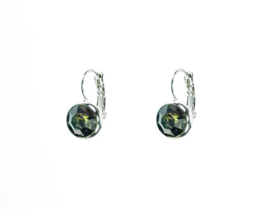 Earrings E01306BD