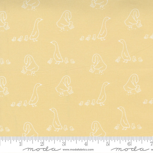Little Ducklings - M2510316