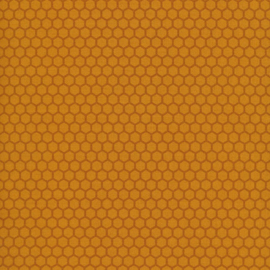 Local Honey Honeycomb Gold